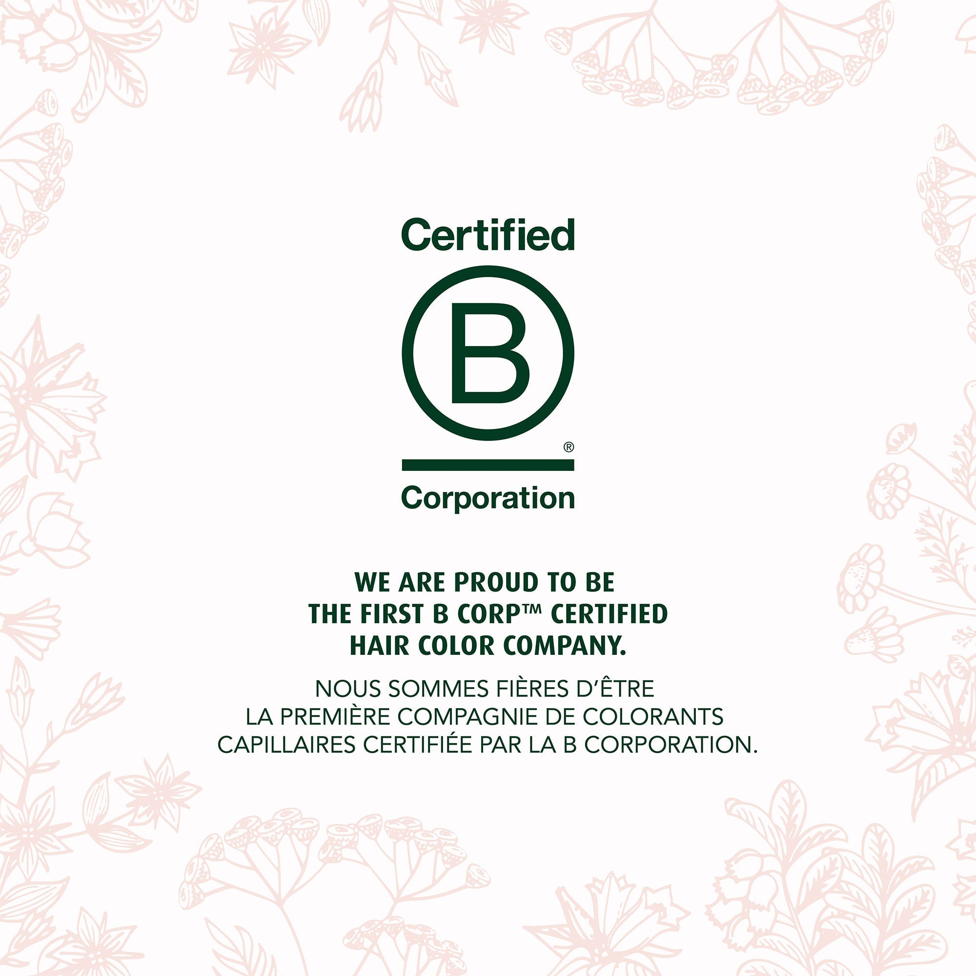 Herbatint Temporary Hair Touch-up Black 60 mL - A.Vogel Canada